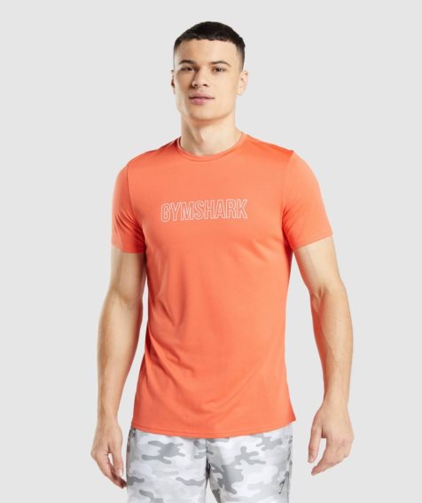 Koszulki Gymshark Arrival Grafiką Męskie Pomarańczowe | PL 402FJZ